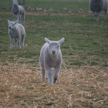 Woodhouse Farm Lodge Spalding Exteriör bild